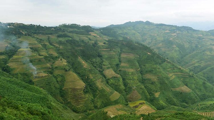 Hoang-Su-Phi_2.jpeg