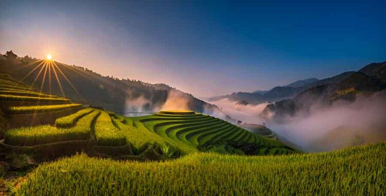 Mu-Cang-Chai_1.jpg
