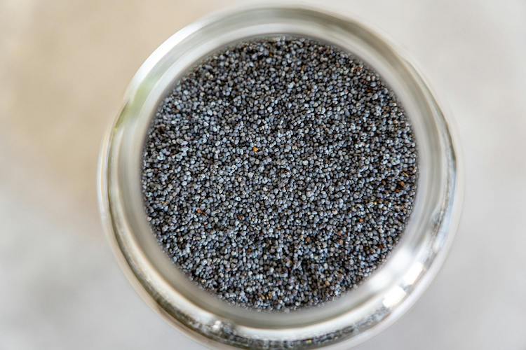 Hat-chia_2.jpeg