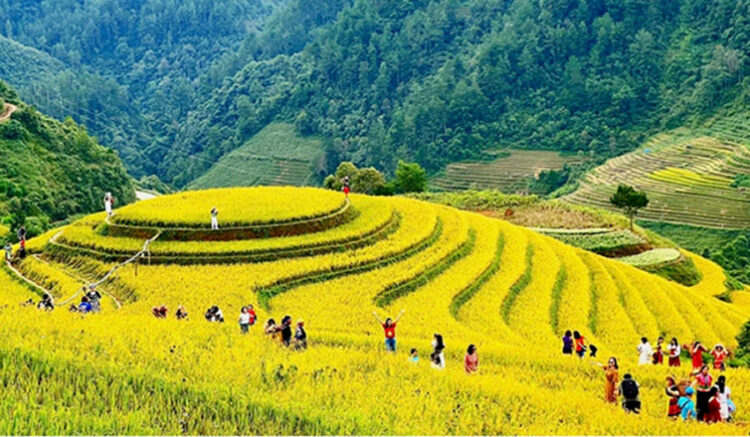 Mu-cang-chai_2.jpg
