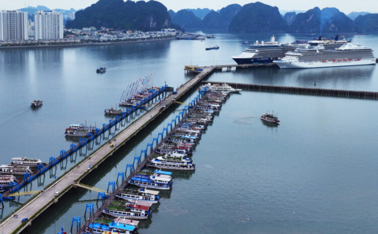 Beautylife_Vinh-Ha-Long_4.jpg