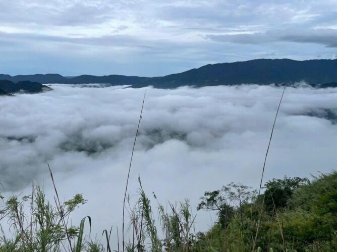 Beautylife_Phu-luong_2.jpeg 