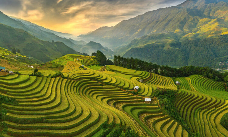 Beautylife_Lao-Cai_3.jpg