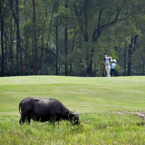 golf-mien-trung-06