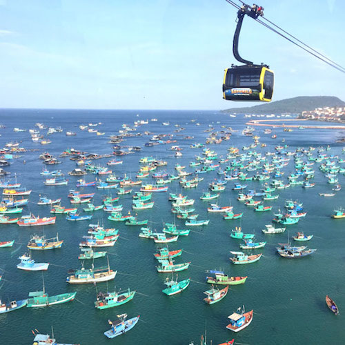 Hai-dao_1.jpg