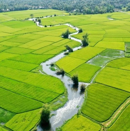 Hoai-Nhon_2.jpg
