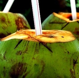 Nuoc-dua_2.jpg