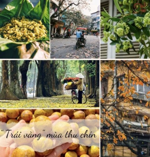 Thu-Ha-Noi.jpeg