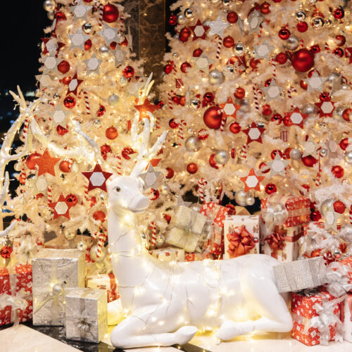 Christmas_2-scaled.jpg