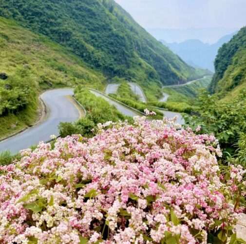 Ha-Giang_2-2.jpg