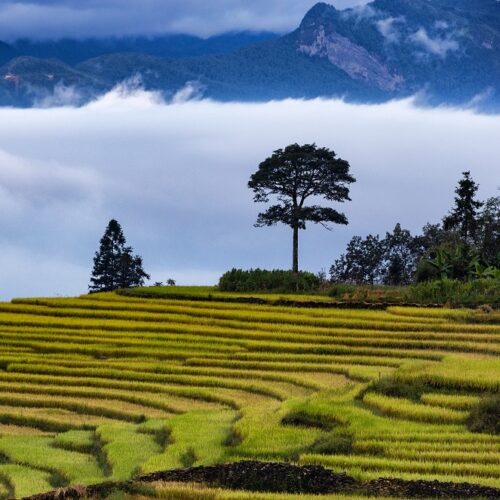 Beautylife_Tây-Bắc-_2-2.jpeg