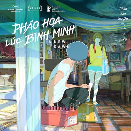 phao-hoa-luc-binh-minh-8
